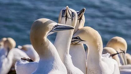 yl23455永利平台：开启数字娱乐新纪元的邀你同行